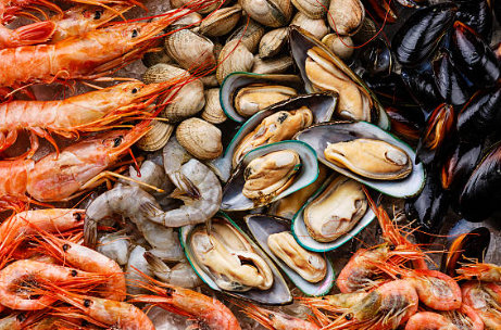 Los mariscos son comidas que tengan proteínas 